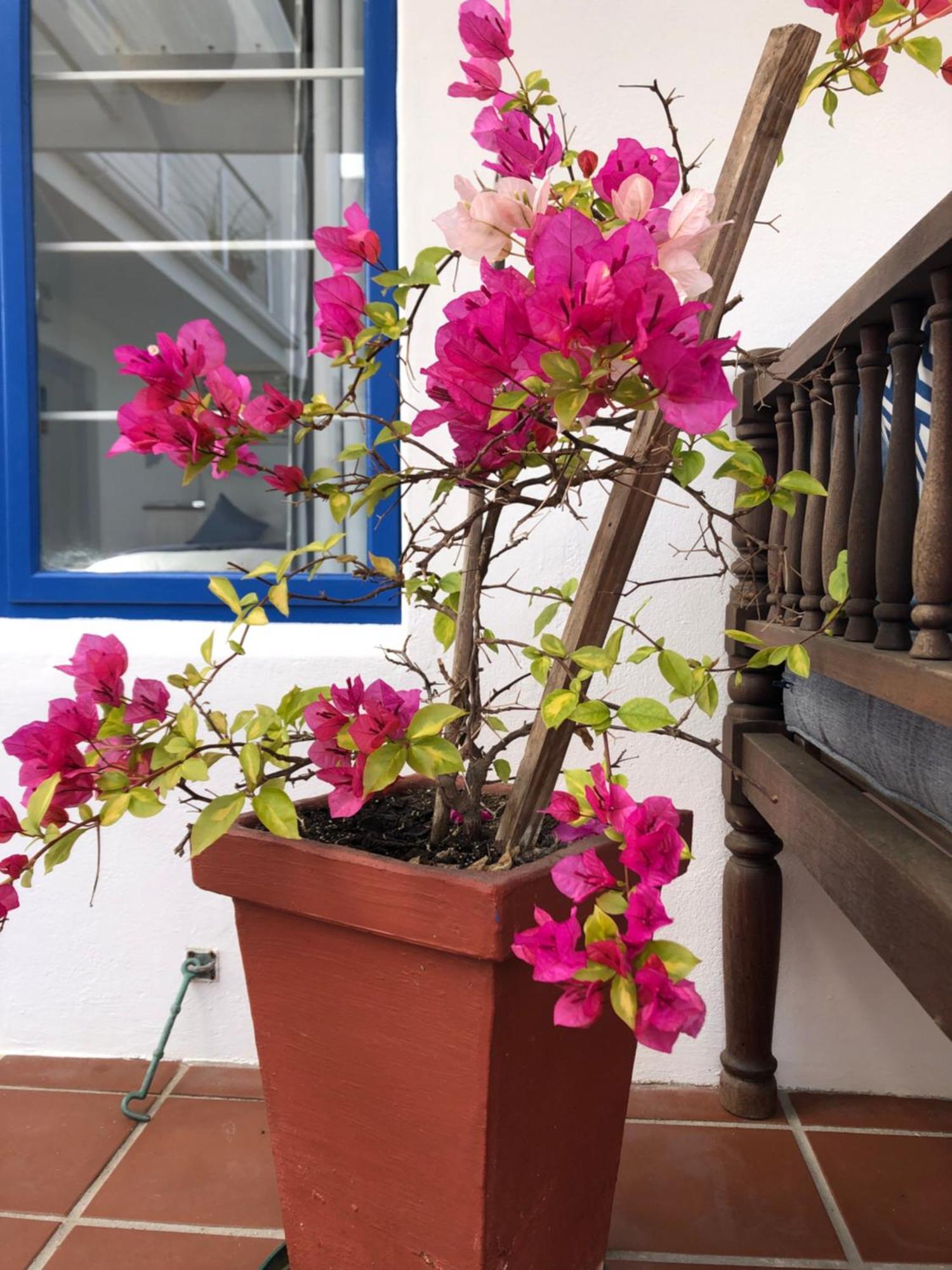 Bluesky Arniston Guest House Esterno foto