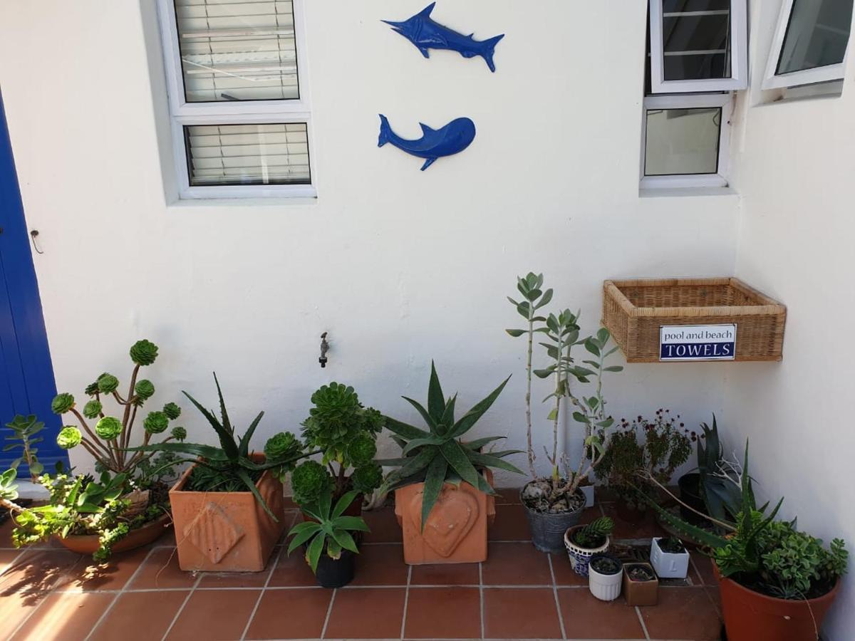 Bluesky Arniston Guest House Esterno foto